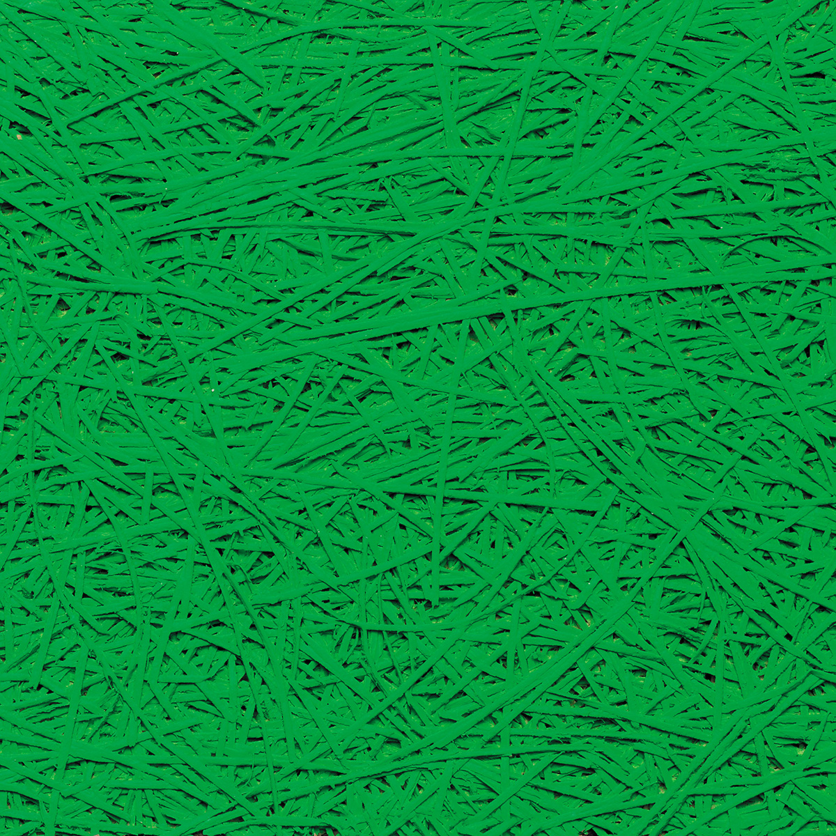 Organic - coloris Green grass.jpg